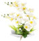 Orchidee Artificiali Fiori Artificiali Orchidea Phalaenopsis Fiori Artificiali Bonsai Artificiali con Imitazione Orchidee Finte per Decorazione Tavolo Bagno Soggiorno (white003)