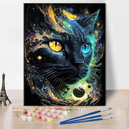 Peinture par numéros noir et blanc Kits Chat noir Peinture par numéros Œuvre d'art DIY Abstrait Peinture spatiale Hommes Femmes Peinture par numéros Cadeaux pour le salon Décoration de chambre à