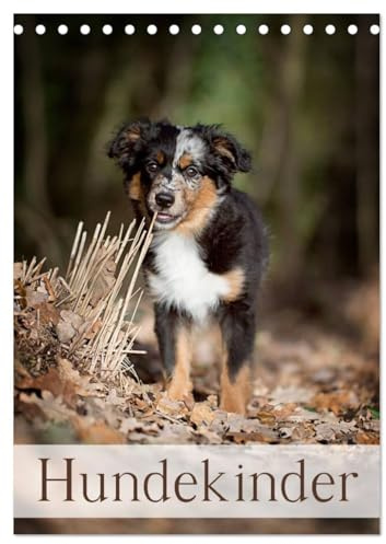 Hundekinder (Tischkalender 2026 DIN A5 hoch), CALVENDO Monatskalender (CALVENDO Tiere)