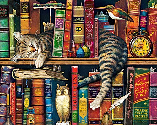 Peinture par Numéros pour Adultes, Chats et Livres Peinture par Numéros, Peinture par Numéro Kit de Peinture Acrylique Avec Pinceaux et Pigments Acryliques, Peinture à l’huile Pour 16x20 Pouces