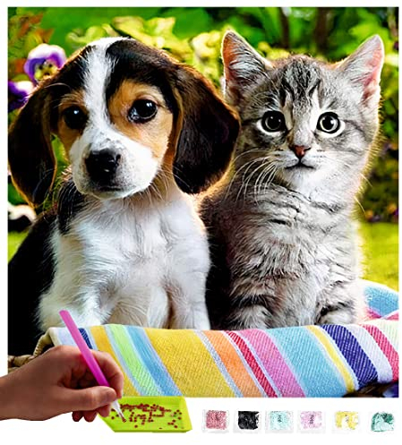 MISHBAY Diamond Painting Katze - 30x30cm Diamond Painting Katzen Erwachsene - Diamant Painting Bilder Kitty und Hündchen - DIY 5D Satz Wand Dekor Diamantstickerei
