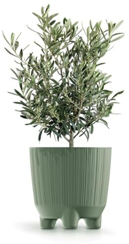 B2C Plant Pots Indoor Outdoor Plastic Flowerpot Small Medium Large RYFO 6 Colours (Earth green, 17cm)