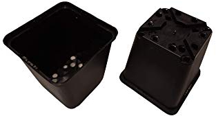 Göttinger 50x Vierecktopf 9x9x9,5 cm