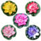 Sewroro 5Pcs Künstlicher Lotus mit Wasserlily Pad Floating Lotus Realistische Blumenverzierung für Garten Teich Aquarium Pool Dekoration 10 cm