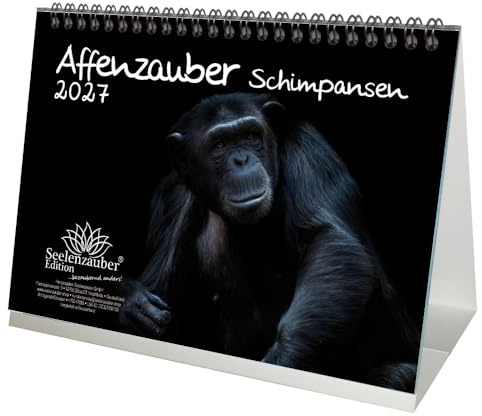 Schimpansenzauber DIN A5 Tischkalender für 2027 Affen - Seelenzauber