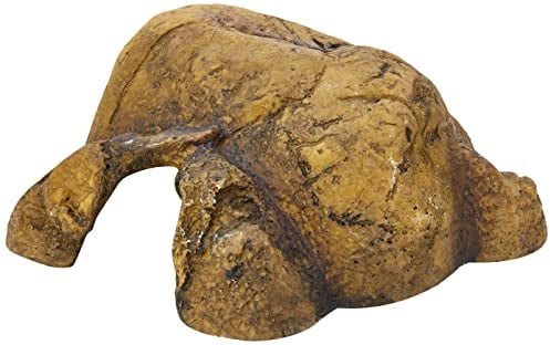 Exo Terra Reptile Cave, sicheres Versteck für Reptilien und Amphibien, M