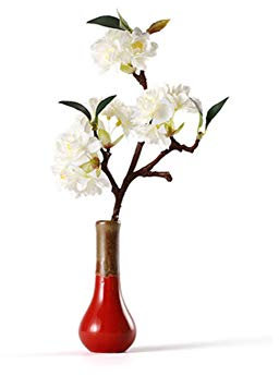 Maya Star Japanische Stil Keramik Vasen Blumenarrangement Container Ikebana Crafts Ornaments A03