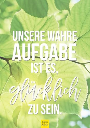 Edition Seidel Premium Kalender Sprüche 2025 Format DIN A3 Wandkalender Motivation mit Sprüchen Dekoration zum Aufhängen Geschenk