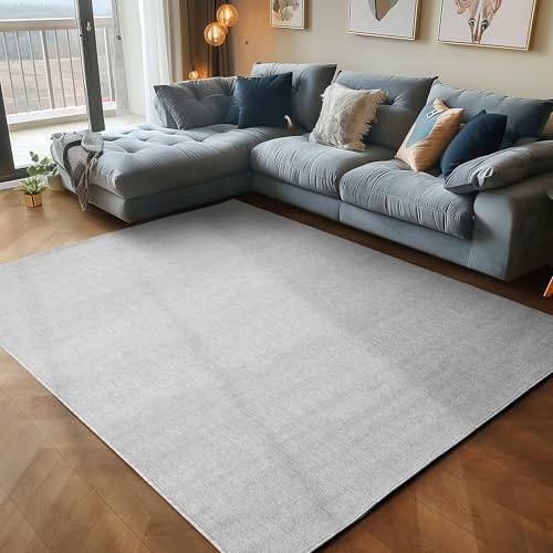 Carpettex Teppich Wohnzimmer Kurzflor Modern Einfarbig Design 200 x 290 cm Hellgrau - Küchenteppich Waschbar Extra Weich Flauschig - Schlafzimmer Kinderzimmer Esszimmer Flur