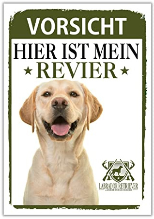 Labrador Retriever Schild Revier Jagd Türschild Hundeschild Warnschild Hund Labbie Labby Lab Geschenkidee lustiger Spruch Hundemotiv Aluminium Wetterfestes Hundeschild