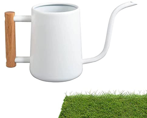 Arrosoir - Arrosoir avec poignée en bois confortable | Arrosoir pour plantes d'intérieur, plantes murales, plantes d'intérieur, blanc