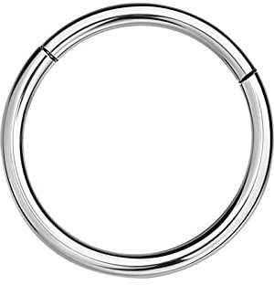 NAVZA Surgical Steel Nose Rings- Nose Hinged Hoops for Men and Women - Body Piercing Jewelry Earrings Lip Rings 6mm-7mm-8mm-9mm-10mm (Silver 16, 8mm)