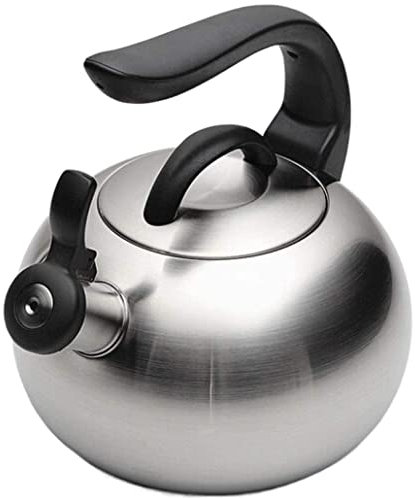 LeGDOr Tetera con silbido de Acero Inoxidable con infusor, Tetera de Fondo Plano, Tetera para Estufa, Tetera con silbido, Tetera para Cocina de Gas (tamaño: 1,5 L)
