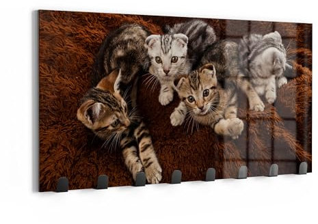 DEQORI Wandgarderobe Glas & Metall | Motiv Kätzchenkomfortzone | 60x30 cm | Design Haken-Leiste modern | Garderoben-Paneel für Flur, Wohnzimmer & Schlafzimmer | magnetisch & beschreibbar