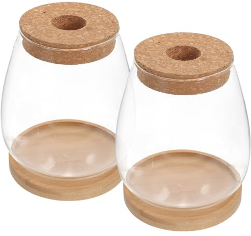 Veemoon Glass Plant Terrarium with Wooden Stand and Bamboo Lid, Multi-functional Ecological Bottle for Plants and Moss, for Office and Cafe Decoration,