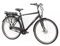 TRETWERK - 28 Zoll E-Bike Herren Pedelec - Mystic schwarz - E-Citybike Herrenfahrrad mit 7 Gang Shimano Nexus Nabenschaltung - Elektrofahrrad mit Frontmotor 250W, 36V