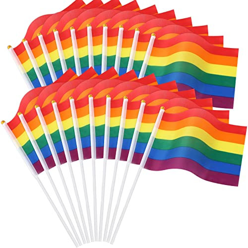 JUNEBRUSHS Lot de 20 mini drapeaux de poche 14 × 21 cm Gay LGBTQ arc-en-ciel Gay Lesbiennes Drapeaux de poche Gay Day Parade agitant Petit drapeau Décorations de fête (drapeau arc-en-ciel fierté)