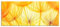 Pixxprint Glasbild Panorama, Wandbild aus Echtglas, Pusteblumen oranges Licht, 100x40 cm, inkl. Aufhängung und Abstandshalter