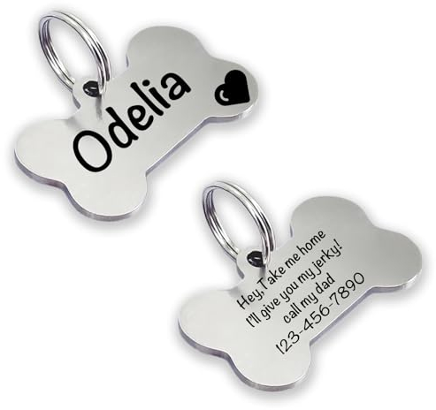 Chapa Identificativa Perro, Placa Perro Personalizada, Chapa Perro Grabada, Ideal para Grabar su Nombre y tu Contacto, Chapa para Perro y Gato Medianos a Grandes (plata)