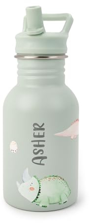 J.Børn Personalised Bottle With Straw For Kids 350ML | Hand-Painted Designs | Single-Skinned, Food-Grade Stainless Steel Bottle | Light Weight Water Bottle | Leak-Proof Bottle (Dinosaurs)