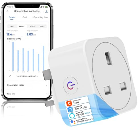 QUEENWEN Smart Plug, Timer Plug Socket UK With Energy Monitoring | Smart Socket with Alexa Google, Remote Control & Schedule Timer, WiFi Plug for Household Appliances, 2.4Ghz
