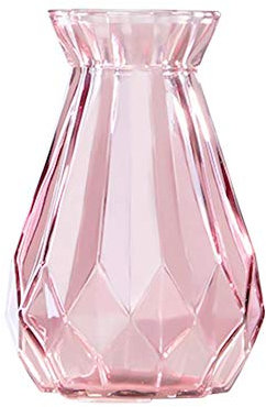 Toruiwa. 1x Hyazinthe Glasvase,Hyazinthenglasm,Hyazinthen Glas,Transparent Blüten Vasen,für Sukkulenten/Luftanlagen Pflanzen Dekoration(14,5x8cm,Rosa)
