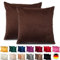 Emilie-Textil 2er Set SAMT Kissenbezug, Decorative Kissenhülle, Sofakissenbezug mit Verstecktem Reißverschluss, 14, Größen 40X40 / 45X45 / 50X50cm (2, Braun, 40X40)