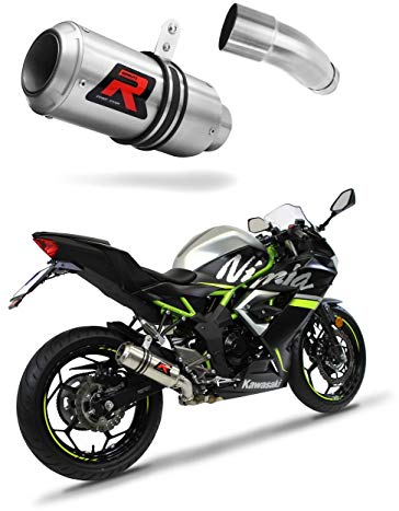 DOMINATOR Pot d'échappement Silencieux GP compatible avec NINJA 125 Z125 2019-2021