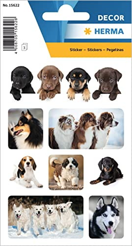 HERMA 15622 Tiere Sticker, Hundelieblinge (24 Aufkleber, Papier, matt) selbstklebend, permanent haftende Motiv Etiketten für Mädchen und Jungen, bunt