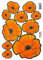 Mohnblumen Aufkleber Set- für Auto, Fahrzeuge, Roller, Moped, Motorrad-Helm, Fahrrad, Laptop, Smartphone - Kühlschrank, Möbel, Mülltonne (Orange)
