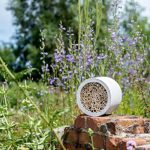 CJ Wildlife Insektenhotel – Wildbienenhotel, Insektenhaus – Holzbeton Woodstone mit austauschbarem Bambus-Innenraum – Brutplatz für Solitärbienen