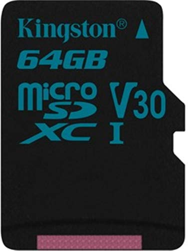Kingston Carte microSD -( SDCG2/64GBSP ) sans adaptateur SD; Canvas Go! / Capturer l'essence de la vie