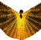Zebery LED-Flügel für Erwachsene, LED-Schmetterlingsflügel, Isis-Flügel, leuchtende Bauchtanz-Kostüme