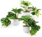 INSANYJ Artificial Plants Set of 3, Small Fake Plants Indoor Outdoors, Plastic Plants in Pots Eucalyptus Plant Faux Plants for Indoors Office Desk Bedroom Decoration