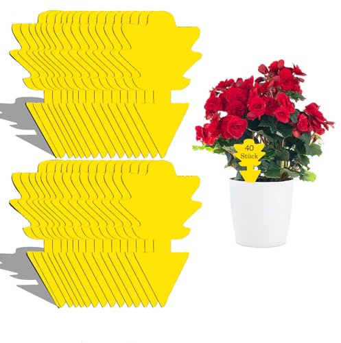 MEGAROOM Anti Moucherons Interieur - 40 Pcs Piège Jaune Double Face Imperméable pour Cuisine et Plantes - Protection contre Moucherons de Terreau et Fuitflies​