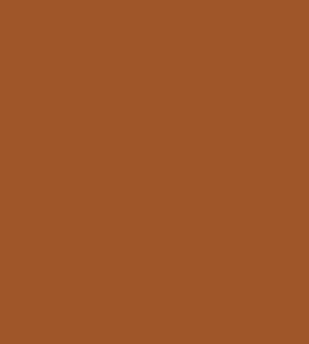 Palatine PaintsProtected By Performance Pliocem® Pliolite Masonry Paint |15 Colours | 2.5lt | 5lt (2.5 Lt, Terracotta)