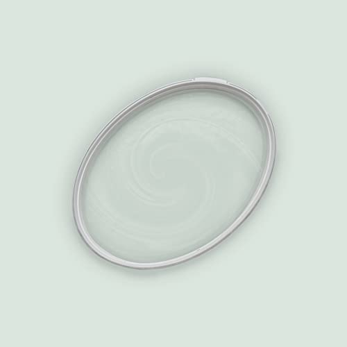 Livingwalls A.S. Création THE COLOR KITCHEN DD125571 Peinture murale avec très haut pouvoir couvrant Vert mat Intérieur Mat 5 l Force de couleur intense