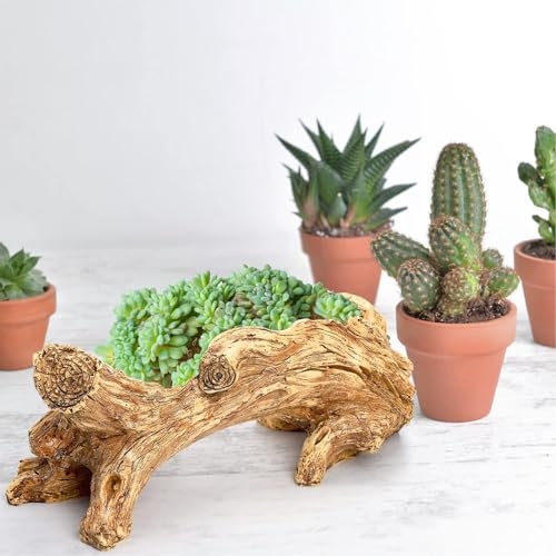 Gavigain Maceta artificial de madera flotante, maceta de resinas para suculentas vintage, tronco de raíz de árbol, maceta para decoración del hogar y jardín
