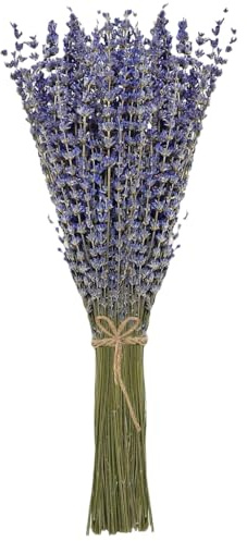 Lavendel getrocknet Bund 100Stängel 42 cm lang Lavendelblüten aus der Provence Lavendelbund Trockenblumen Trockenblumenstrauß