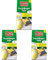 Nexa Lotte Fruchtfliegen Falle, 1 St, zum Abfangen von Frucht-, Obst und Essigfliegen, Gelb (Packung mit 3)