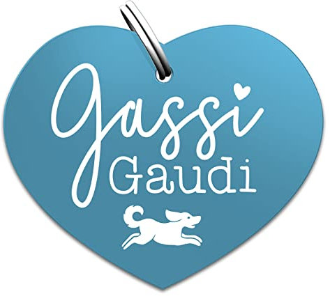Soulhorse Souldogs Hundemarke mit Gravur - Schöner Anhänger für Hundehalsband Geschirre, Halsbänder & Leinen für Hunde Dog Tag mit Gravur Hundezubehör (Gassigaudi, türkis)