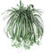 Jiacheng29 1Pc Chlorophytum Comosum Faux Greenery Home Hotel Decor Artificial Spider Plant