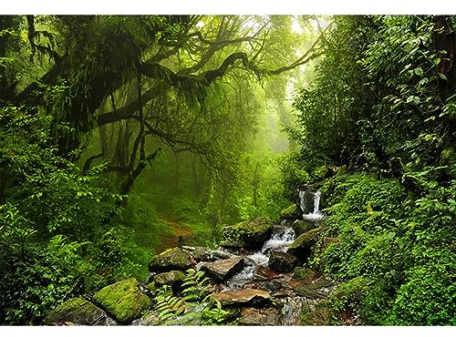 YongFoto 3x2m Toile de Fond Forêt Tropicale de Jungle Rivière Eau limpide Pierres moussues Fond Décors Studio Photo Video Fete Photobooth Photographie Props