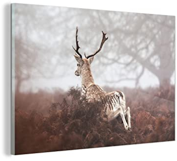 MuchoWow Glasbild Glasfoto Wandbild Bilder Deko 120x80 cm Rehe - Nebel - Pflanzen