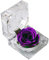 Gadpiparty Rose éternelle dans une boîte dans un en verre avec ruban - Rose préservée pour anniversaire, Saint-Valentin, fête de mariage (violet)