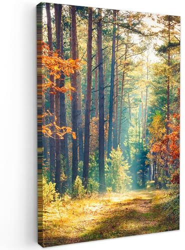 MuchoWow© Leinwand Bilder Groß XXL Wanddeko Wohnzimmer Aesthetic Room Decor | 80x120 cm - Deko Zimmer Wandbilder Modern Fotogeschenke Wald - Sonne - Natur - Herbst
