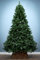 Christmas Tree World | The Vanda Verde Fir Tree (2.3m)