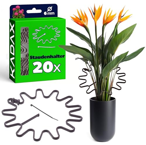KADAX Lot de 20 supports de plantes ronds de 21 cm de diamètre avec serre-câbles, support d'hortensia en plastique, support de plantes pour hortensias, support de fleurs (marron)