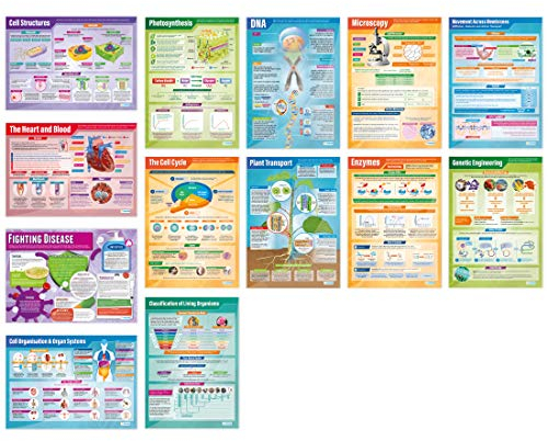 Daydream Education Biologie-Poster, laminiertes Hochglanzpapier, 850 mm x 594 mm (A1), 13 Stück