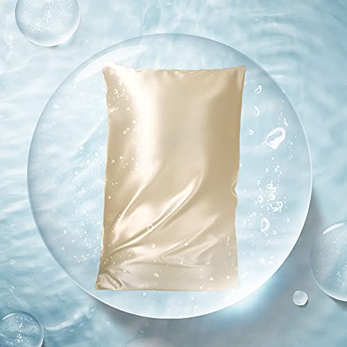 THXSILK Hyaluronsäure Seide Kissenbezüge für Haar und Haut, Kissenbezug aus 100% Reiner Maulbeerseide mit verstecktem Reißverschluss (Champagner, 40X60cm)